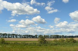 Enerec Sp. z o.o. to Brylant Polskiej Gospodarki, Efektywna Firma, Gepard Biznesu i Mocna Firma Godna Zaufania 2022