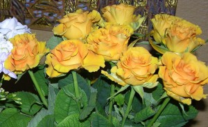 Poczta Kwiatowa Sp. z o.o. to Brylant Polskiej Gospodarki, Efektywna Firma, Gepard Biznesu i Mocna Firma Godna Zaufania 2022