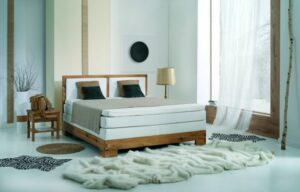 Fey Sp. z o.o. to Brylant Polskiej Gospodarki 2023