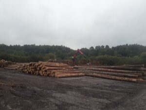 Przedsiębiorstwo Przemysłu Drzewnego w Łukawicy Sp. z o.o. to Gepard Biznesu 2023