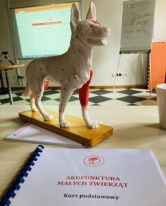 AMBItion Usługi Edukacyjne Sp. z o.o. to Efektywna Firma, Gepard Biznesu i Mocna Firma Godna Zaufania 2022