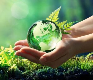 AP-LOGIC Sp. z o.o. to Brylant Polskiej Gospodarki, Efektywna Firma, Gepard Biznesu i Mocna Firma Godna Zaufania 2022