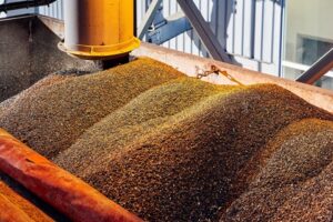 Albio Sp. z o.o. to Brylant Polskiej Gospodarki 2023 i Gepard Biznesu 2023