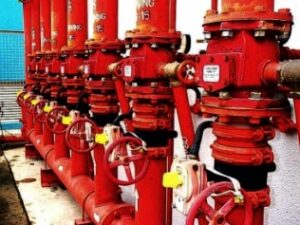 Anpol Sprink Sp. z o.o. to Gepard Biznesu 2021