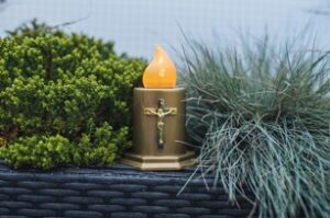 Assai Sp. z o.o. to Brylant Polskiej Gospodarki 2023 i Efektywna Firma 2023