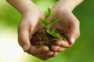 Bacto – Tech Sp. z o.o. to Brylant Polskiej Gospodarki, Efektywna Firma, Gepard Biznesu i Mocna Firma Godna Zaufania 2022