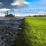 Bactrem Sp. z o.o. to Efektywna Firma 2024