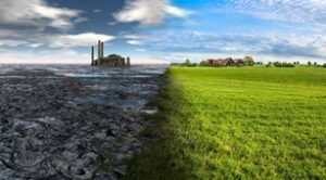 Bactrem Sp. z o.o. to Efektywna Firma 2024