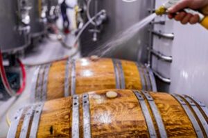 Bjor Andrzej Gałasiewicz sp.k. to Gepard Biznesu 2023