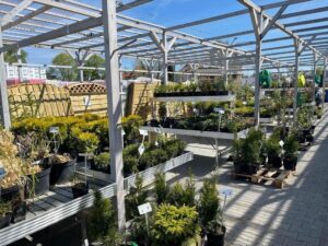 Blesa sp.j. Bil i Wspólnicy to Brylant Polskiej Gospodarki i Efektywna Firma 2021