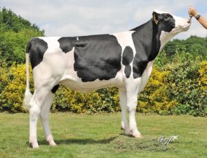 Wielkopolskie Centrum Hodowli i Rozrodu Zwierząt w Poznaniu z Siedzibą w Tulcach Sp. z o.o. to Wielki Brylant Polskiej Gospodarki i Efektywna Firma 2021