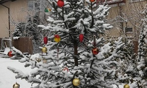 Życzenia na Boże Narodzenie 2025 i Nowy Rok 2026