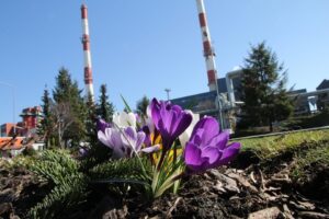 ECO Tarnobrzeg Sp. z o. o. to Brylant Polskiej Gospodarki, Efektywna Firma, Gepard Biznesu, Mocna Firma Godna Zaufania i Wielki Modernizator 2022