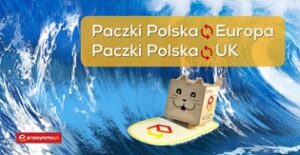 Efero Next Sp. z o.o. to Efektywna Firma, Gepard Biznesu i Mocna Firma Godna Zaufania 2024