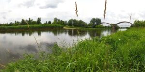 FPP Enviro Sp. z o.o. to Gepard Biznesu 2022