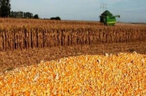 Euro Farm Sp. z o.o. to Brylant Polskiej Gospodarki 2024 i Efektywna Firma 2024