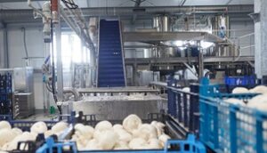 Fig-Food Sp. z o.o. to Efektywna Firma 2023, Gepard Biznesu 2023 i Mocna Firma Godna Zaufania 2023