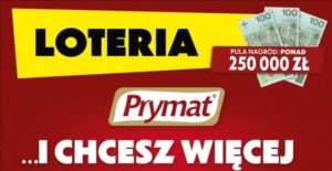 First Line Polska Sp. z o.o. to Efektywna Firma 2021