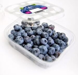 Fresh Factory Sp. z o.o. to Gepard Biznesu 2023