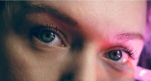 Gamelin Sp. z o.o. to Gepard Biznesu 2022