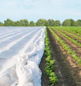 Geocover Sp. z o.o. to Brylant Polskiej Gospodarki 2022 i Gepard Biznesu 2022