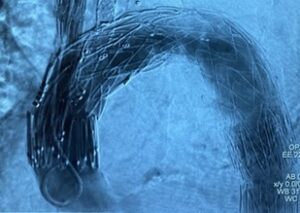 Hammermed Medical Polska Sp. z o.o. S.K.A. to Wielki Brylant Polskiej Gospodarki, Wielki Modernizator, Efektywna Firma, Gepard Biznesu i Mocna Firma Godna Zaufania 2025