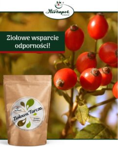 Krakowskie Zakłady Zielarskie HERBAPOL w Krakowie S.A. to Brylant Polskiej Gospodarki 2022 i Gepard Biznesu 2022