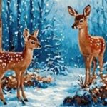 IPICASSO Sp. z o.o. to Efektywna Firma 2024