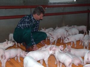 Inter-Agri Sp. z o.o. to Brylant Polskiej Gospodarki 2023, Gepard Biznesu 2023 i Wielki Modernizator 2023