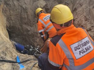 Inżynieria Polska Sp. z o. o. to Efektywna Firma, Gepard Biznesu i Mocna Firma Godna Zaufania 2022