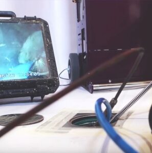 Kanserwis Sp. z o.o. to Efektywna Firma, Gepard Biznesu i Mocna Firma Godna Zaufania 2022