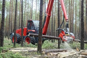 Kompania Leśna. Chodkiewicz, Mazurkiewicz, Petrykowski Sp. z o.o. to Brylant Polskiej Gospodarki i Efektywna Firma 2022