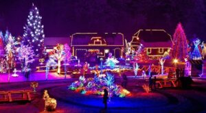 AKB Sp. z o.o. to Brylant Polskiej Gospodarki, Efektywna Firma, Gepard Biznesu i Mocna Firma Godna Zaufania 2022