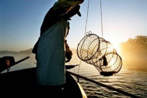 Lokfish Sp. z o.o. to Efektywna Firma 2023, Gepard Biznesu 2023 i Mocna Firma Godna Zaufania 2023