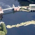 MEWAT Sp. z o.o. to Brylant Polskiej Gospodarki 2025 i Efektywna Firma 2025