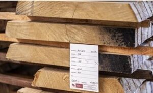 MGJ – Sp. z o.o. to Brylant Polskiej Gospodarki 2024 i Efektywna Firma 2024