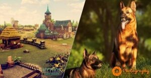 Madnetic Games S.A. to Brylant Polskiej Gospodarki, Efektywna Firma, Gepard Biznesu i Mocna Firma Godna Zaufania 2025