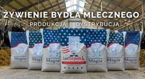 Magia Sp. z o.o. sp.k. to Brylant Polskiej Gospodarki, Efektywna Firma, Gepard Biznesu i Mocna Firma Godna Zaufania 2025