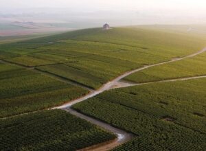 Moët Hennessy Polska Sp. z o.o. to Brylant Polskiej Gospodarki, Efektywna Firma, Gepard Biznesu i Mocna Firma Godna Zaufania 2023