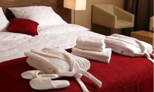 Morfeusz Sp. z o.o. to Efektywna Firma 2023