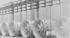 Przedsiębiorstwo Modernizacji Technicznych Multicon Sp. z o.o. to Brylant Polskiej Gospodarki, Efektywna Firma, Gepard Biznesu i Mocna Firma Godna Zaufania 2022