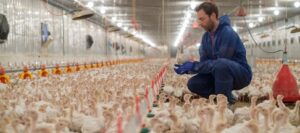 Ovet Sp. z o.o. sp.k. to Brylant Polskiej Gospodarki 2023 i Efektywna Firma 2023