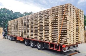 Argus Sp. z o.o. w Zielonej Górze to Brylant Polskiej Gospodarki, Efektywna Firma, Gepard Biznesu i Mocna Firma Godna Zaufania 2022