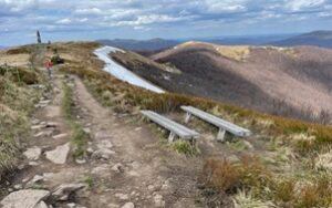 Perfect Progress Sp. z o.o. to Efektywna Firma 2024