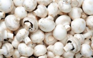 PilzFOOD Sp. z o.o. to Gepard Biznesu 2023