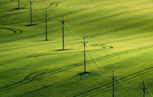 eDeK sp. z o.o. to Brylant Polskiej Gospodarki, Efektywna Firma, Gepard Biznesu i Mocna Firma Godna Zaufania 2022