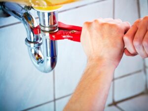 Firma Handlowo-Usługowa Rodsar Sp. z o.o. to Gepard Biznesu 2023