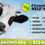 Firma Rozalczyk Sp. z o.o. to Brylant Polskiej Gospodarki 2023 i Gepard Biznesu 2023