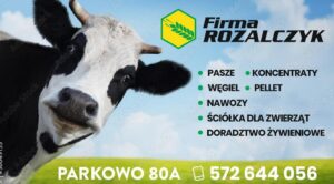 Firma Rozalczyk Sp. z o.o. to Brylant Polskiej Gospodarki 2023 i Gepard Biznesu 2023