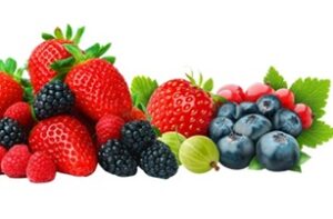 Runo Leśne Sp. z o.o. to Efektywna Firma 2024